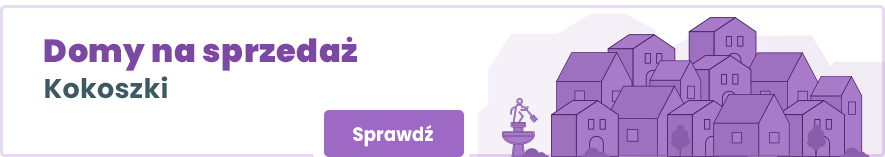 domy na sprzedaż Kokoszki